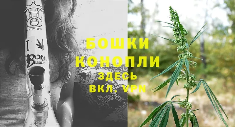 где купить   MEGA рабочий сайт  Конопля OG Kush  Будённовск 